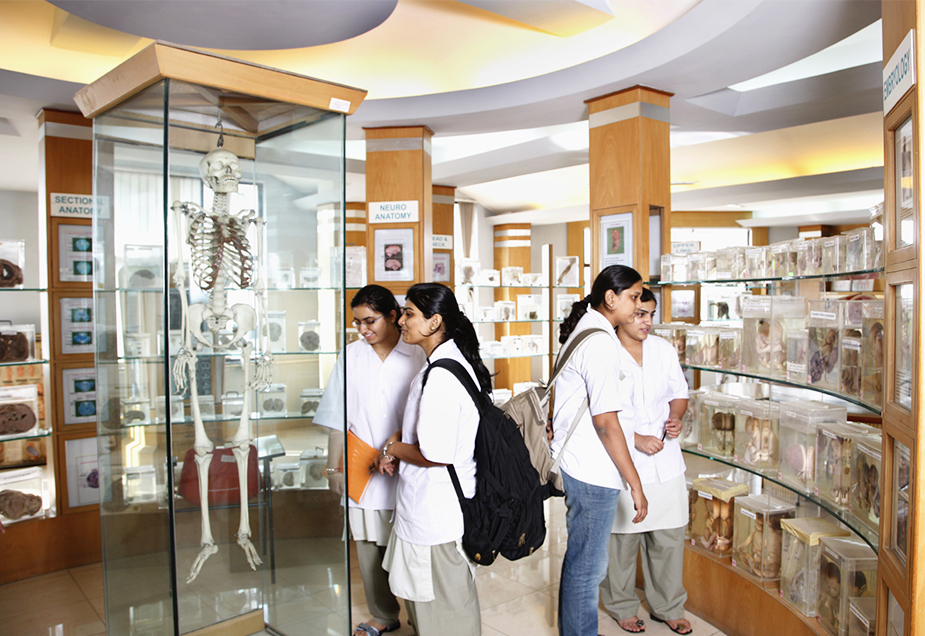 Dr. DY Patil Medical College Hospital and Research Centre Pune_Anatomy-Museum